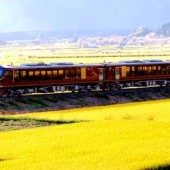 Tận hưởng mùa thu Tohoku cùng những chuyến tàu vui vẻ